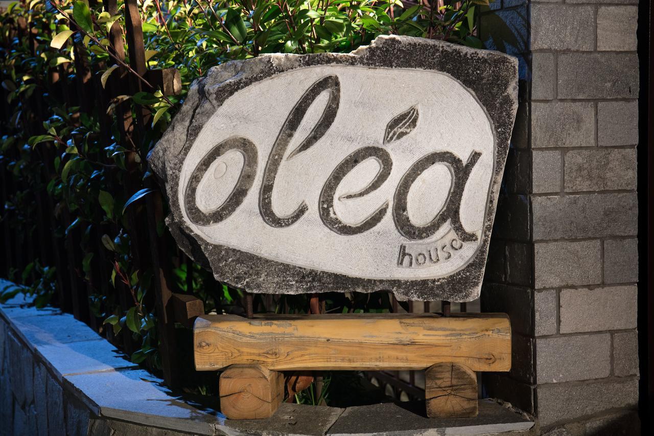 Olea House Limenaria (Thasos) Exterior foto